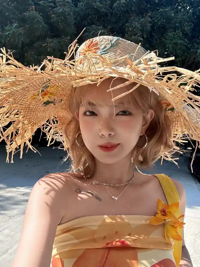 echo下载数据增长图